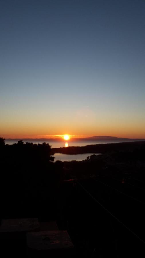 Apartman Jadranka Palit Buitenkant foto