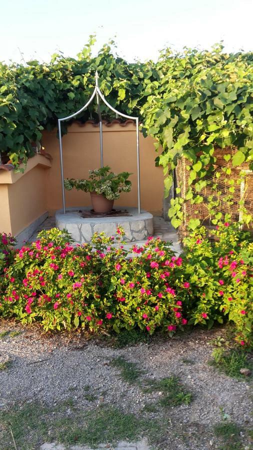 Apartman Jadranka Palit Buitenkant foto